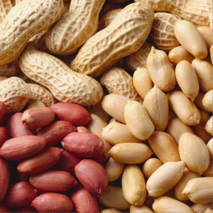 Protein-Rich Nuts